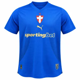 Palmeiras 26/27 Third Player Version Jersey - Blue