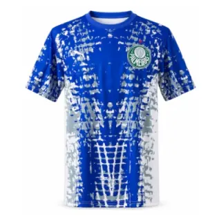 Palmeiras 26/27 GK Special Edition Jersey
