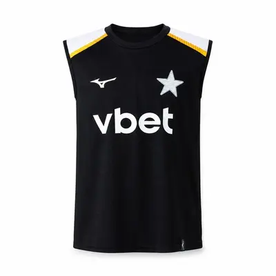 Botafogo 26/27 training vest black Jersey