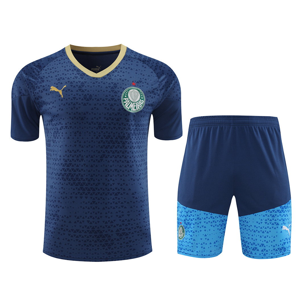 24/25 Palmeiras Short Sleeve Training Kit