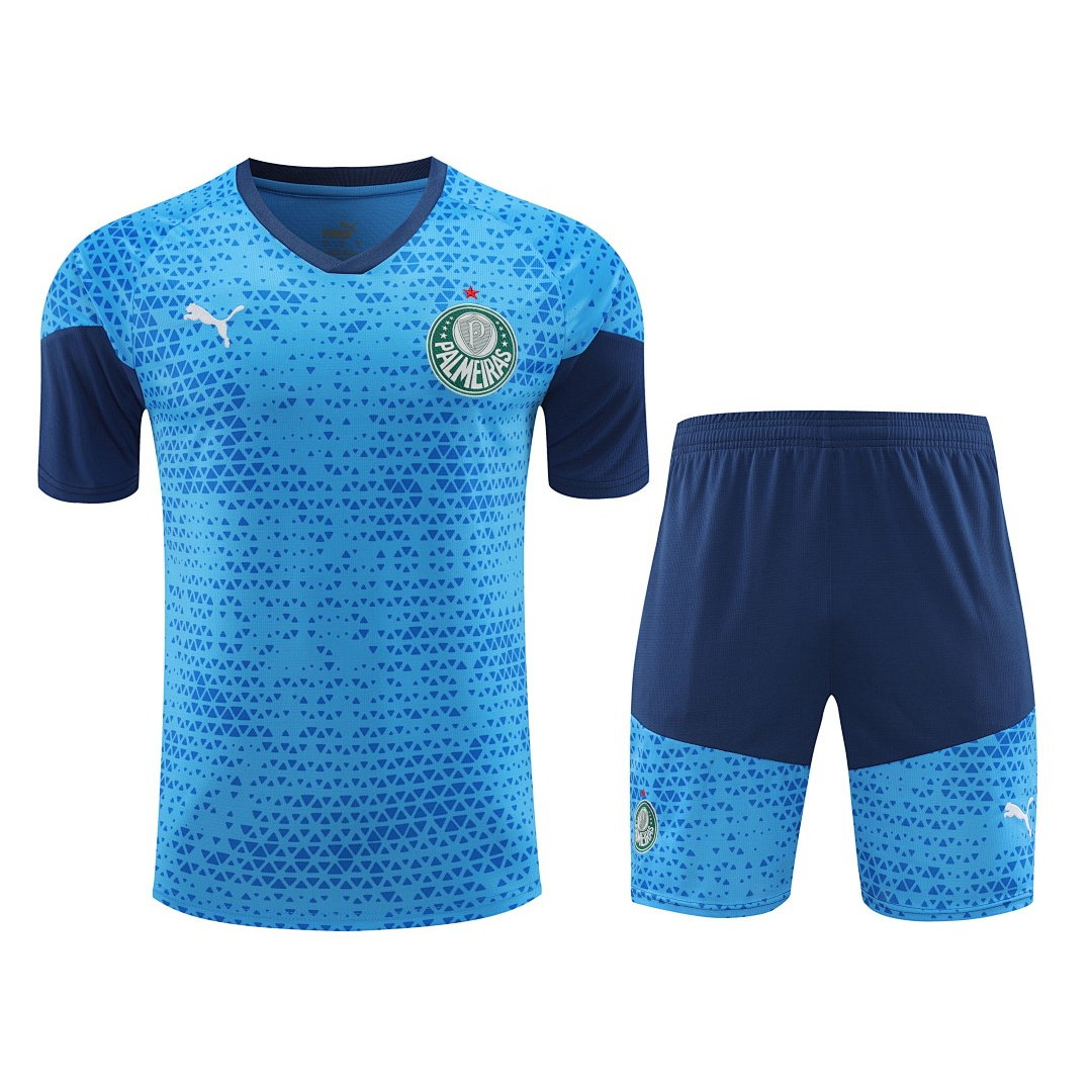 24/25 Palmeiras Short Sleeve Training Kit