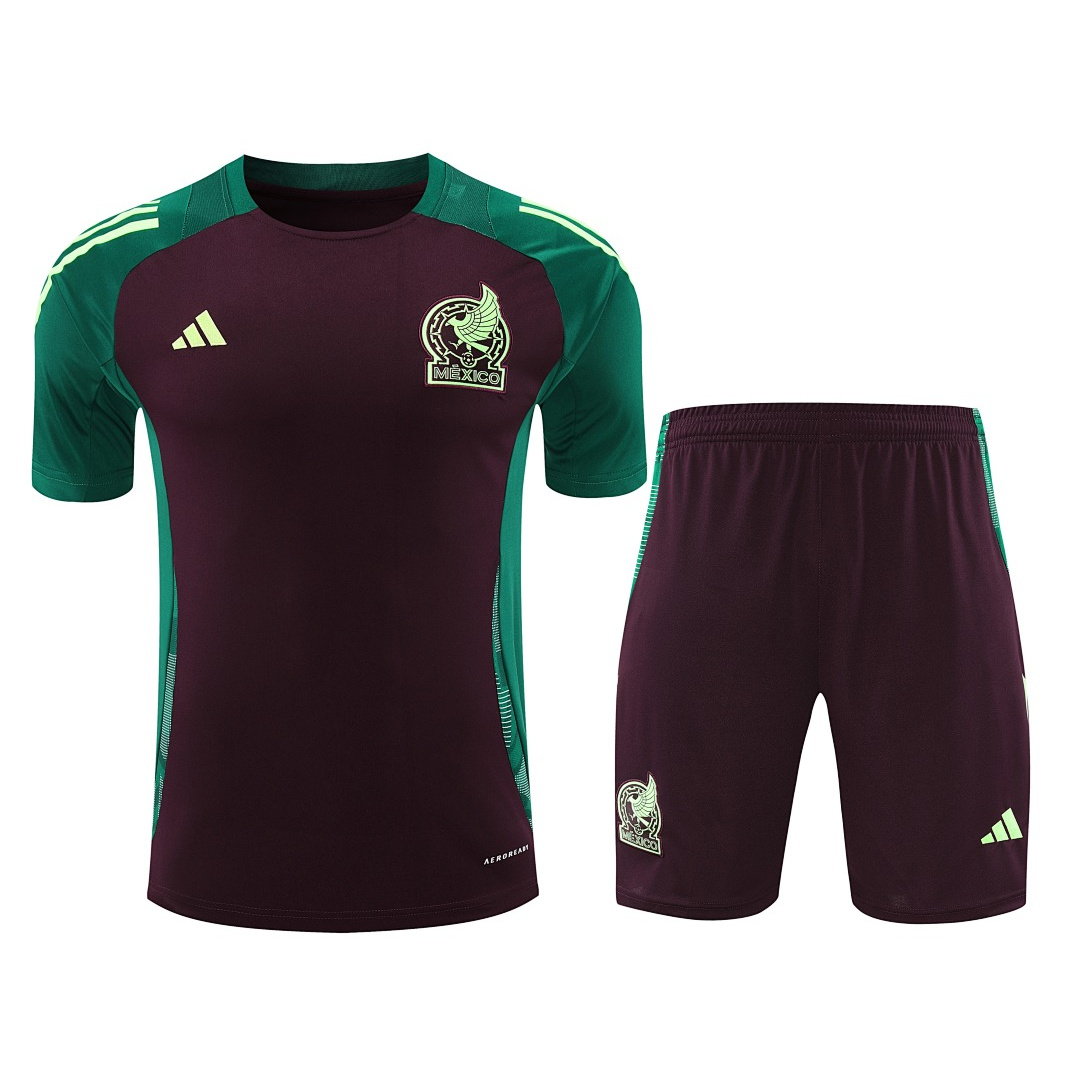 24/25 Mexico Short Sleeve Training Kit