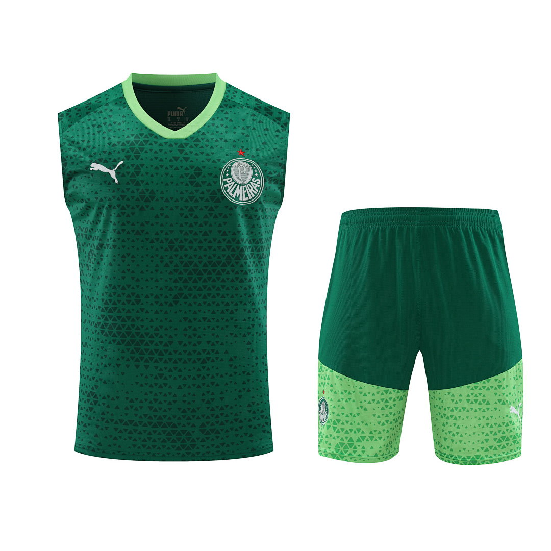24/25 Palmeiras Vest Training Kit