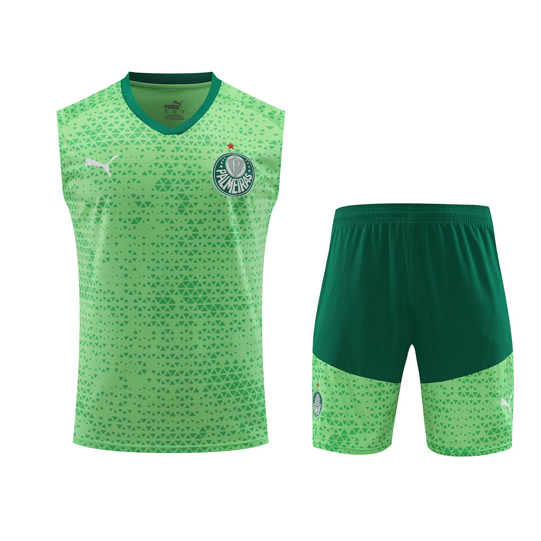 24/25 Palmeiras Vest Training Kit