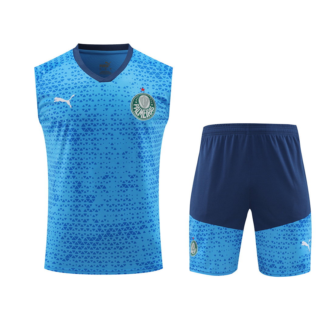 24/25 Palmeiras Vest Training Kit