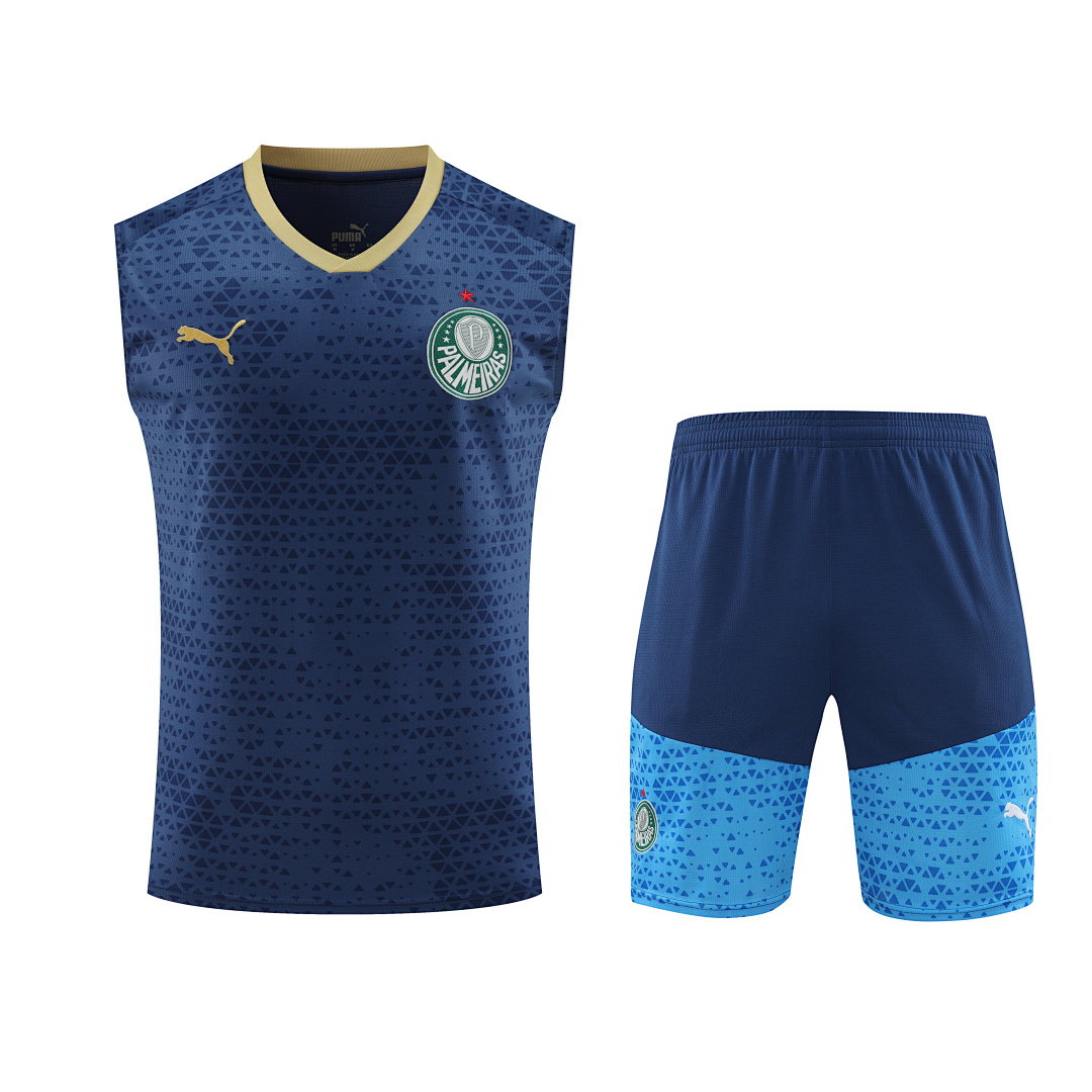 24/25 Palmeiras Vest Training Kit