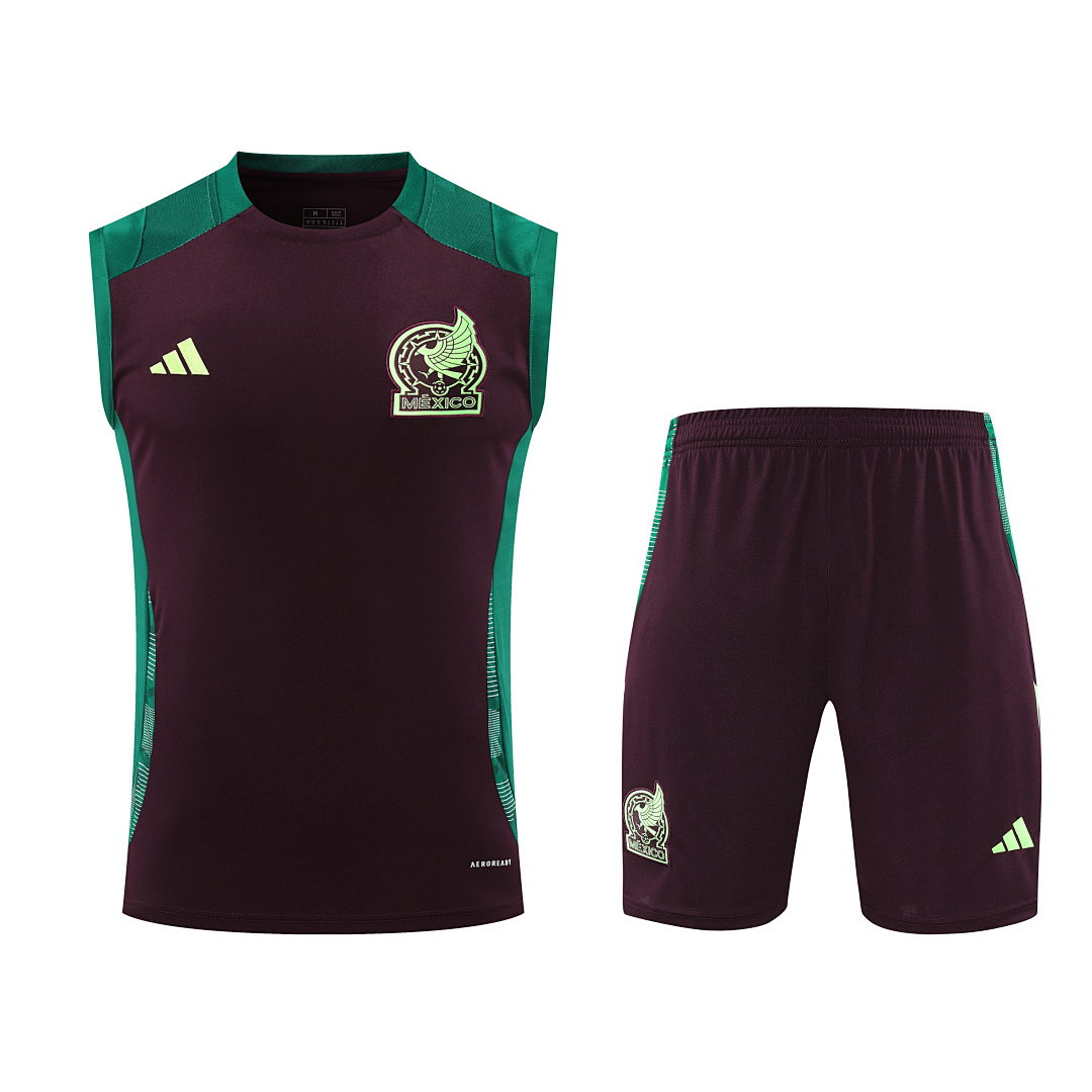 24/25 Mexico Vest Training Kit