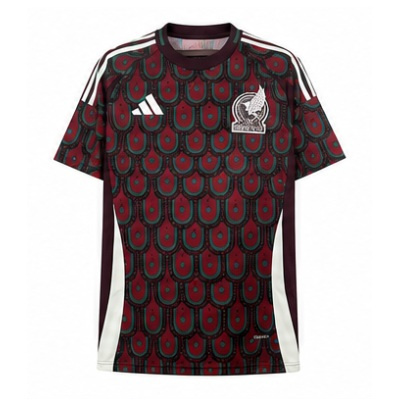 2024 Mexico Home