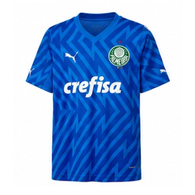 24/25 Goalkeeper Palmeiras Blue