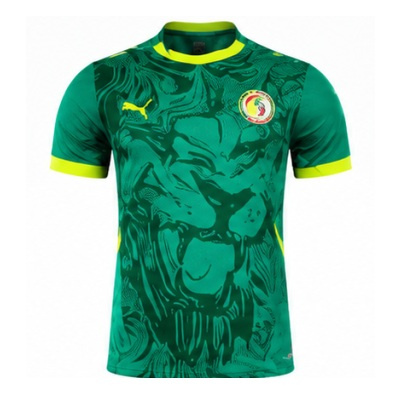 2025 Player Senegal Green