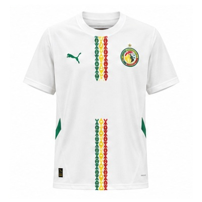 2025 Senegal home