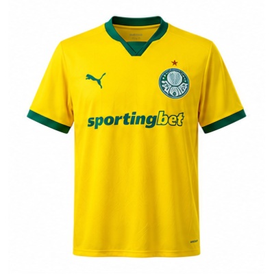 Palmeiras 25/26 Third Away