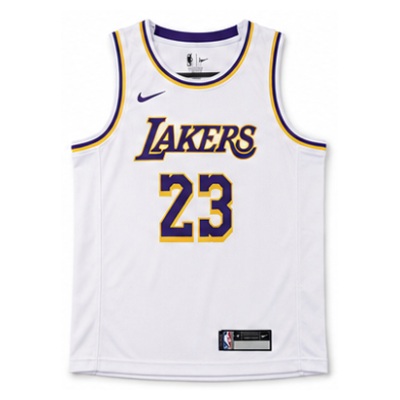 Youth Los Angeles Lakers White #23 LeBron James NBA Jersey