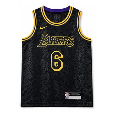 Youth Los Angeles Lakers Snakeskin #6 LeBron James NBA Jersey